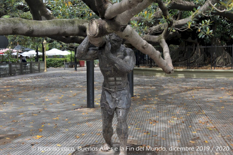 Alcuni dei rami del “Gomero de la Recoleta” che si trova nello spazio davanti la Basilica del Pilar e l'ingresso al famoso cimitero di Recoleta vicino a Plaza Francia sono sostenuti da apposite strutture in metallo nonché da una possente statua.