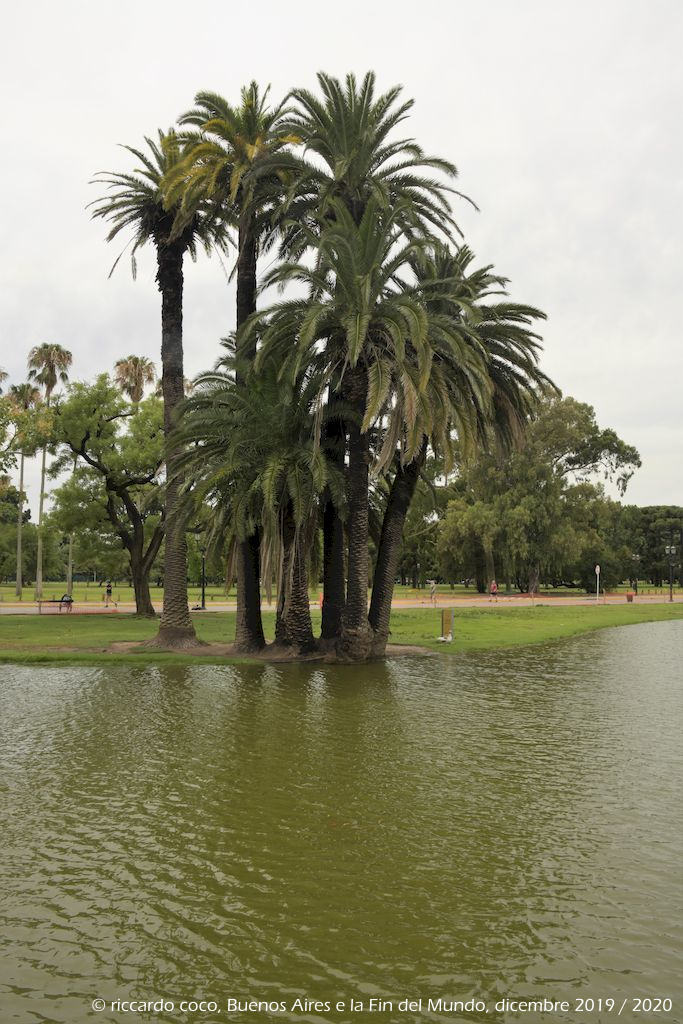 Il Rosedal de Palermo, chiamato anche “Paseo del Rosedal”, è un parco tradizionale situato nel Barrio Palermo. È stato dichiarato Patrimonio Culturale della Città di Buenos Aires.