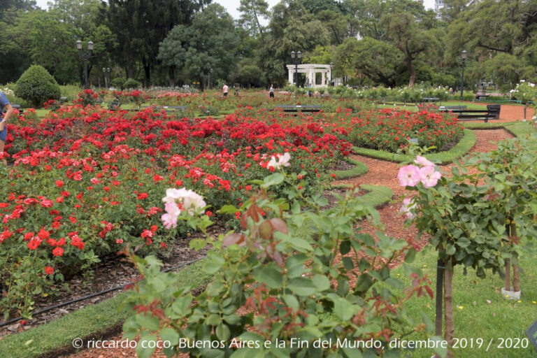 Il Rosedal de Palermo, chiamato anche “Paseo del Rosedal”, è un parco tradizionale situato nel Barrio Palermo. È stato dichiarato Patrimonio Culturale della Città di Buenos Aires.