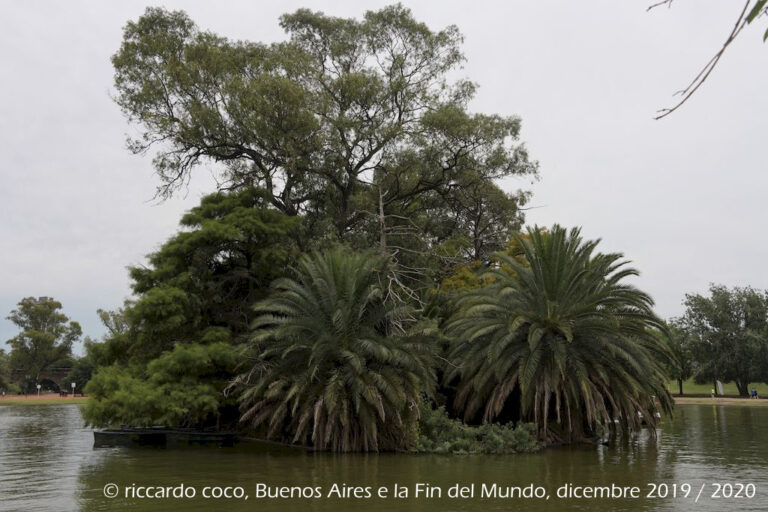 Il Rosedal de Palermo, chiamato anche “Paseo del Rosedal”, è un parco tradizionale situato nel Barrio Palermo. È stato dichiarato Patrimonio Culturale della Città di Buenos Aires.