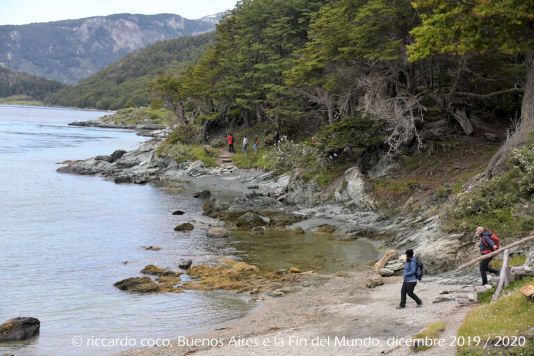 Nonostante il fatto che le temperature siano fredde tutto l'anno, le coste della baia di Ensenada Zaratiegui sono ricoperte da alte foreste magellaniche fino sul mare.