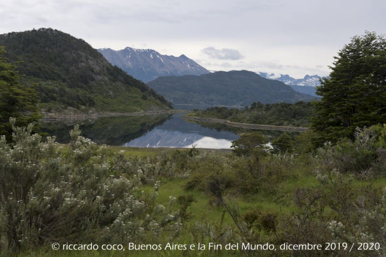 Passeggiata all’interno del bosco della baia Wulaia che ospita diverse specie di piante autoctone di questa regione, con fantastici paesaggi !!!