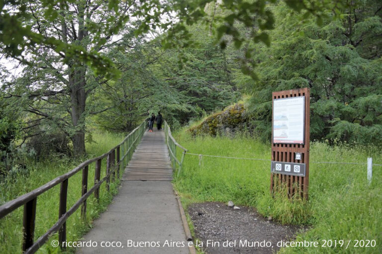 Lungo il tragitto nel Parco Nazionale Torres del Paine(Cile) sosta presso la Cueva de Milodón, una grotta dove sono stati scoperti i resti di un animale preistorico noto come Milodonte, di cui si può ammirare una ricostruzione a dimensioni naturali.