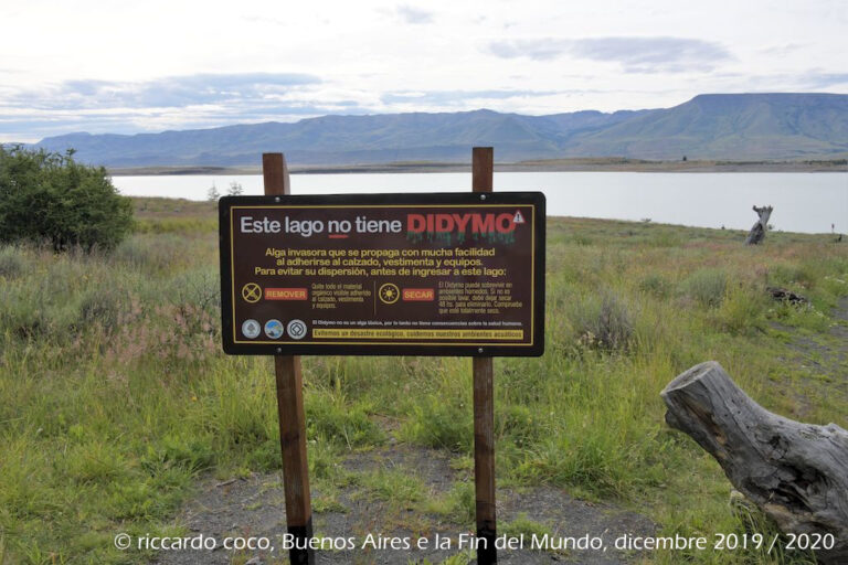 Breve fermata in un punto panoramico (Punto de Apoyo) lungo il tragitto nel Parque Nacional Los Glaciares diretti al Ghiacciaio Perito Moreno (da sud) lungo il “Brazo Rico” del lago Argentino